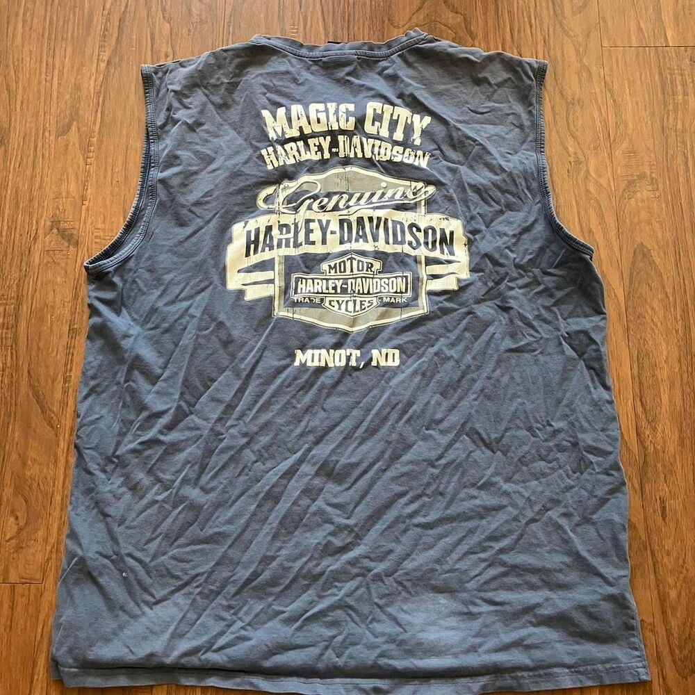 Harley-davidson Men's Blue and Navy Vest